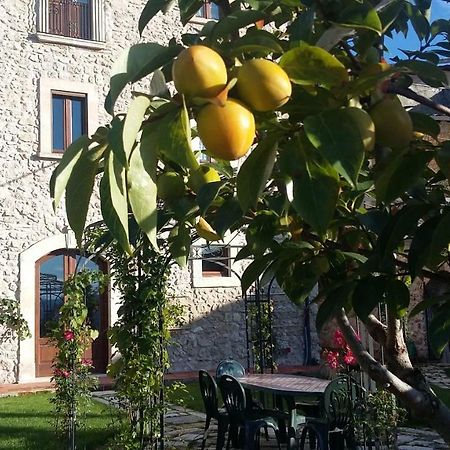 San Demetrio ne' VestiniAlloggi Agrituristici Antica Dimora别墅 外观 照片