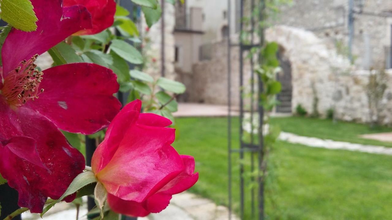 San Demetrio ne' VestiniAlloggi Agrituristici Antica Dimora别墅 外观 照片